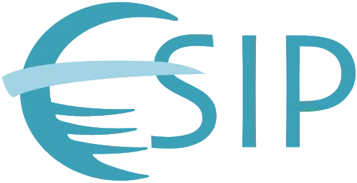 Earth Science Information Partners