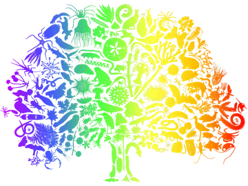 Wellcome Sanger Tree of Life logo